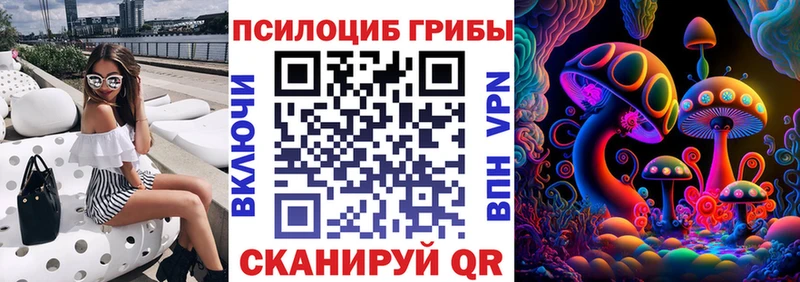 Галлюциногенные грибы прущие грибы Купить Могоча