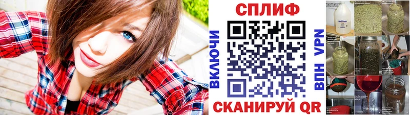 Бошки марихуана план  Купить где  Могоча 